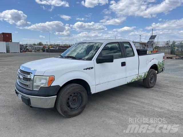 Ford F-150 أخرى