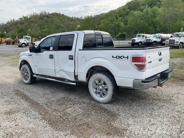 Ford F-150 أخرى