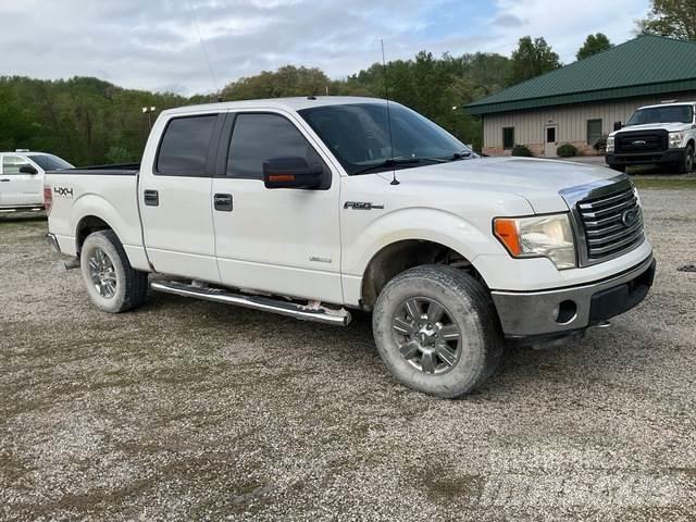 Ford F-150 أخرى