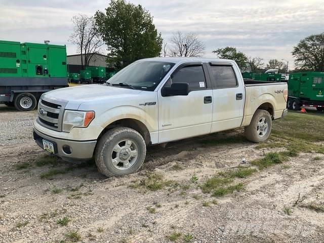 Ford F-150 أخرى