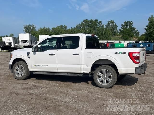 Ford F-150 أخرى
