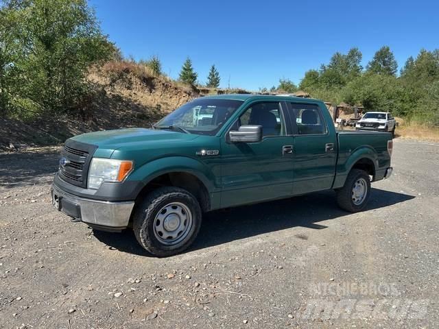 Ford F-150 أخرى