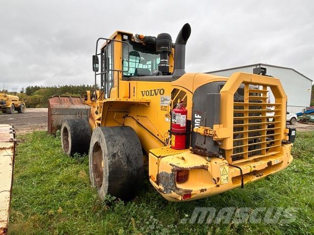 Volvo L110F لوادر بعجل