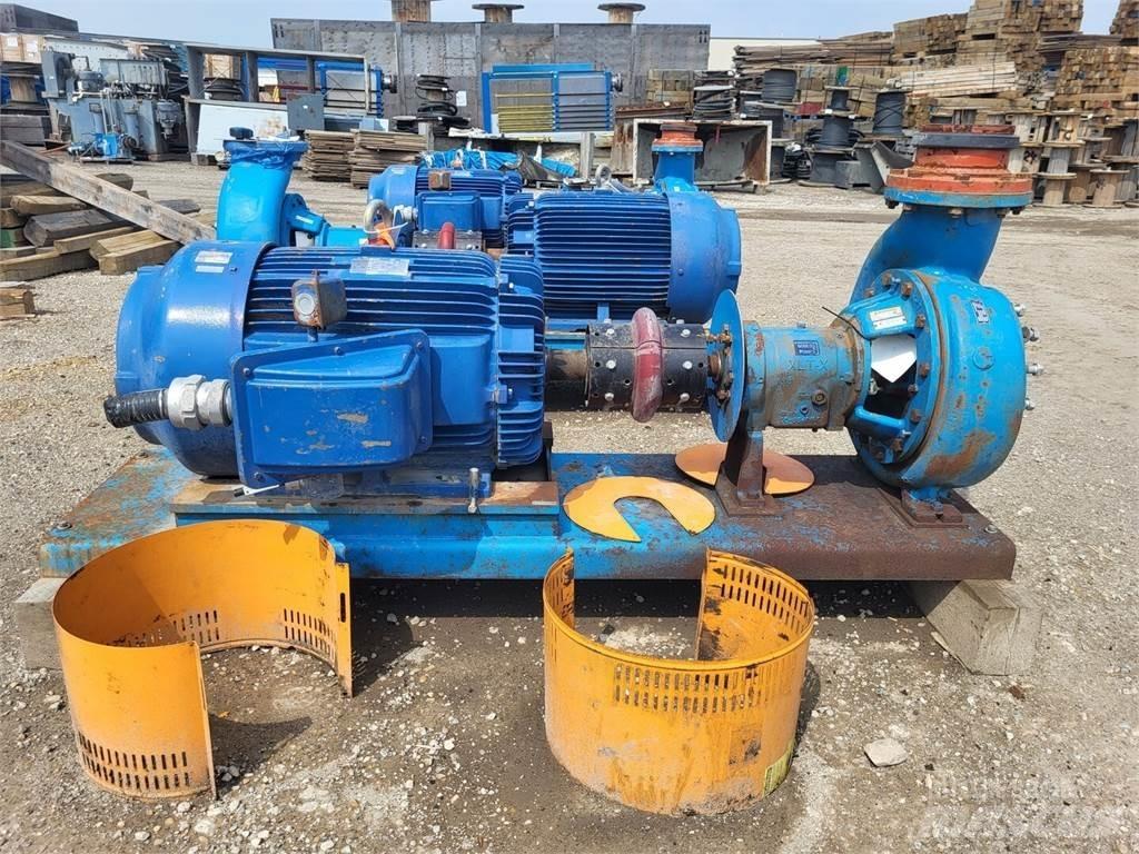  GOULDS 3196 مضخات المياه