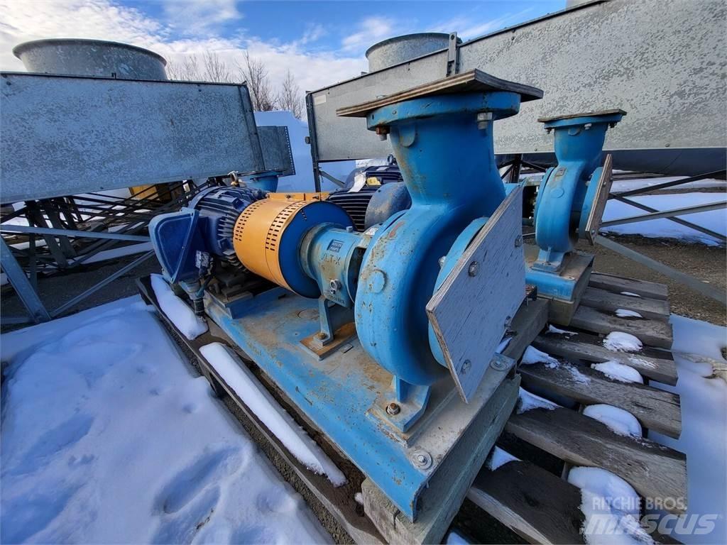  GOULDS 3196 مضخات المياه