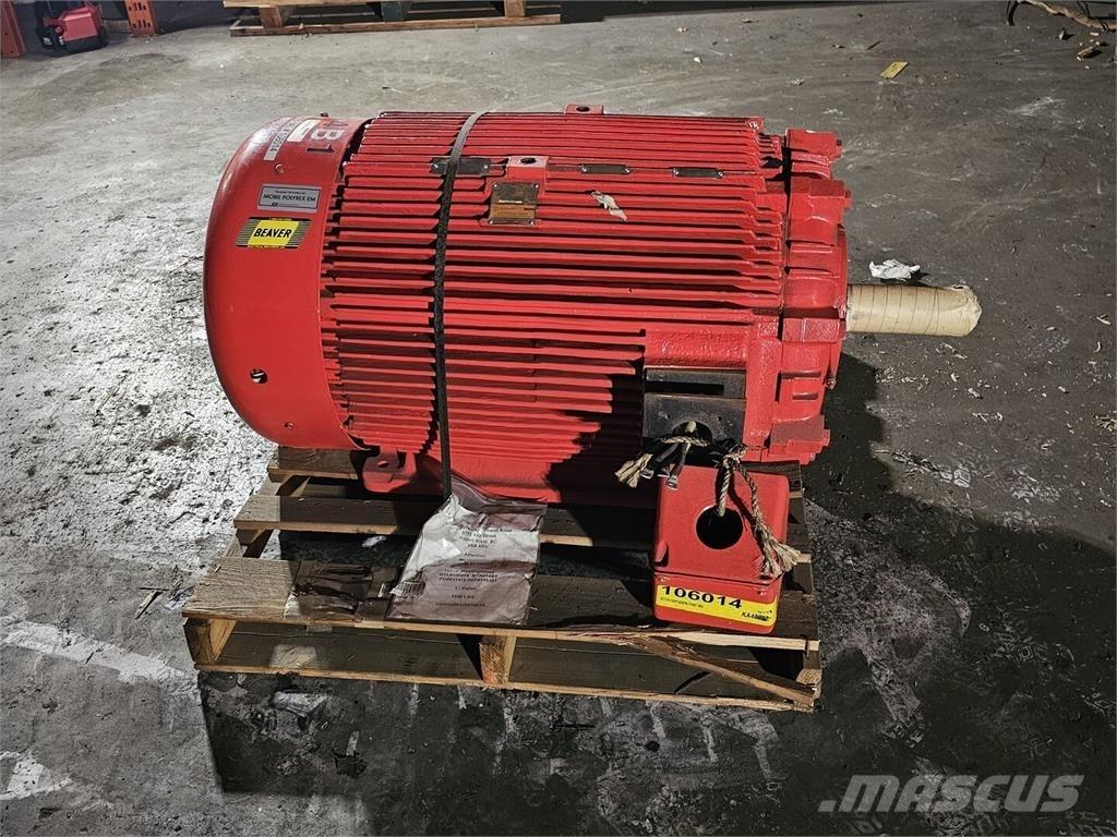Westinghouse HSBN محركات صناعية