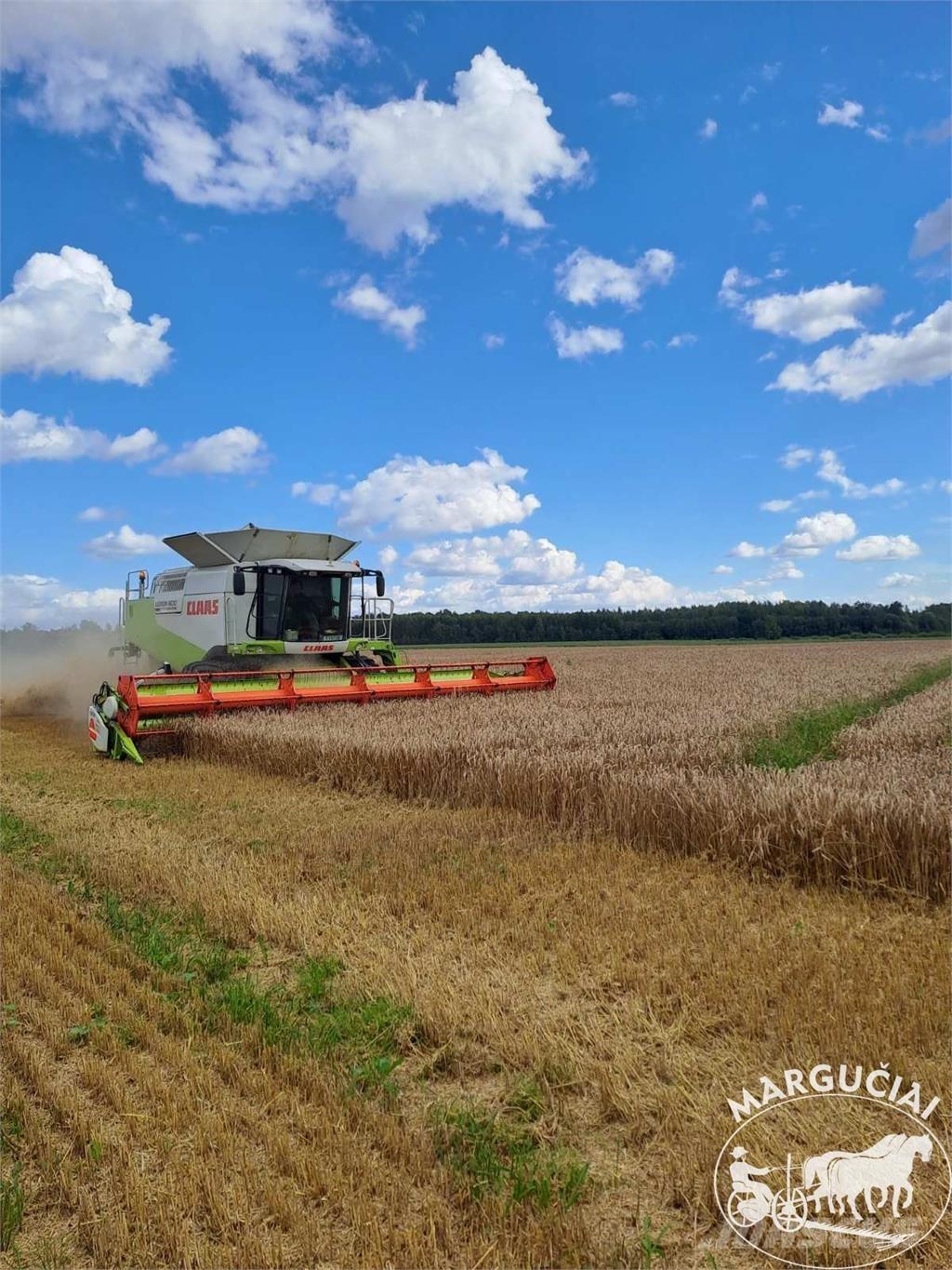 CLAAS Lexion 600, 9 m. ماكينات زراعية أخرى