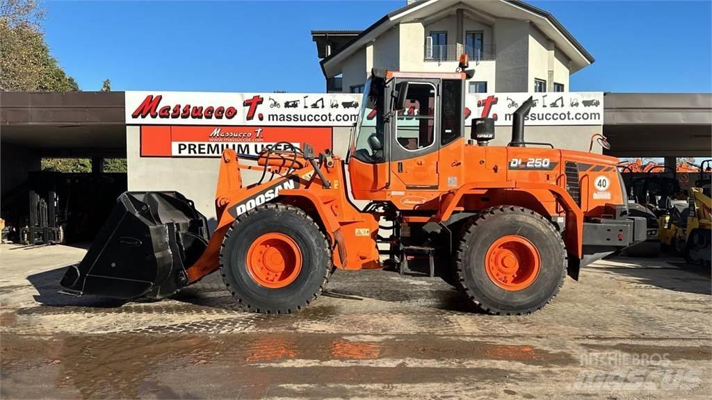 Doosan DL250 لوادر بعجل