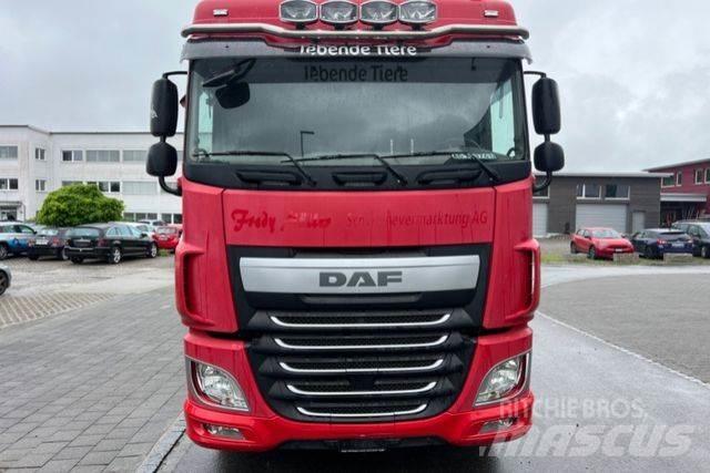 DAF XF460 6x2 شاحنات بمقصورة وهيكل