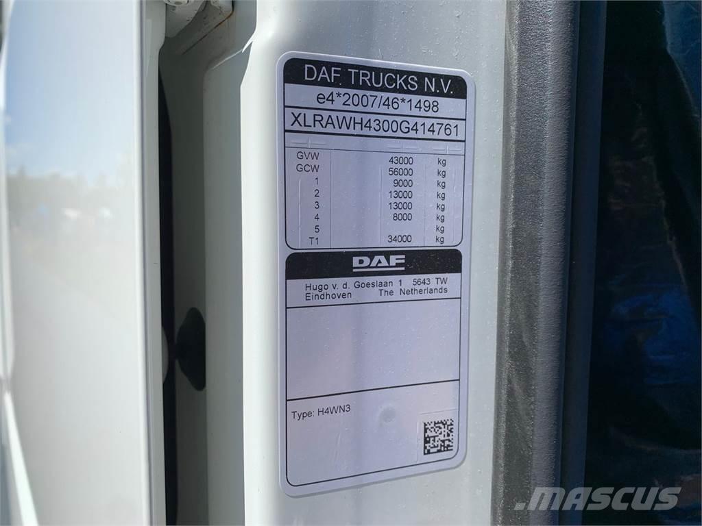 DAF XF 430 8x4*4 شاحنات بمقصورة وهيكل