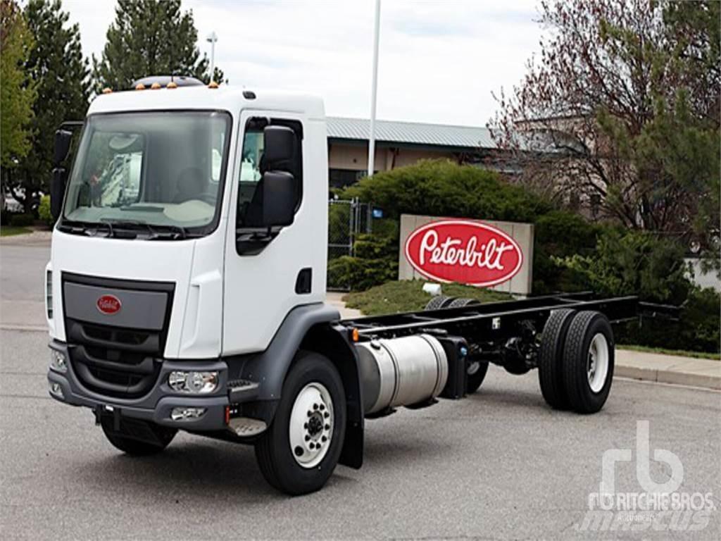 Peterbilt 220 شاحنات بمقصورة وهيكل