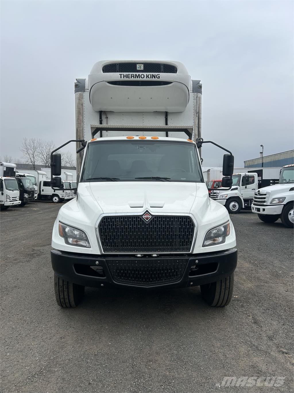 International MV607 شاحنات ذات هيكل صندوقي