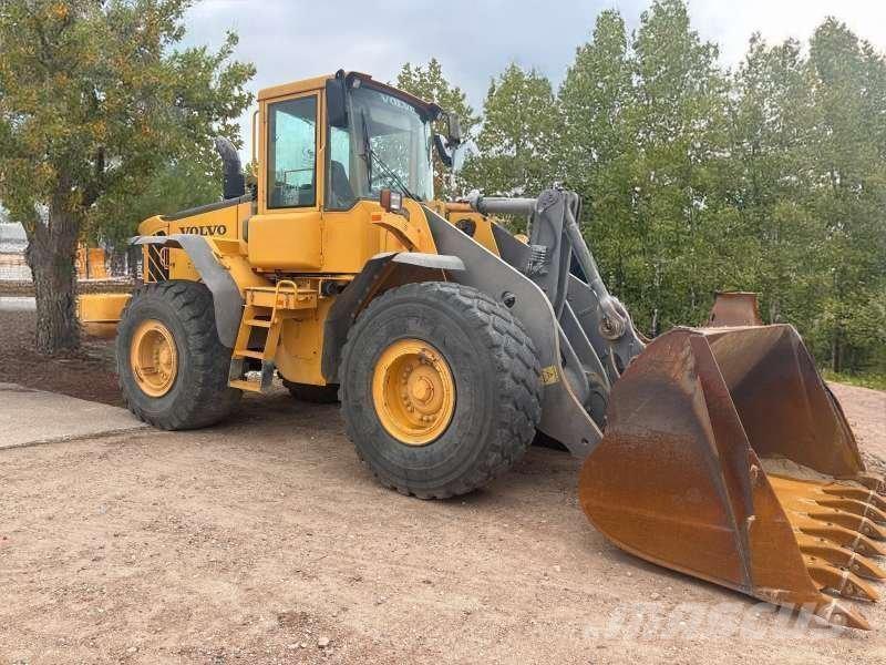 Volvo L110E لوادر بعجل
