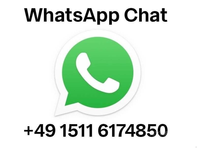 Hassia GLB 4D معدات زراعة وحصاد البطاطس - أخرى