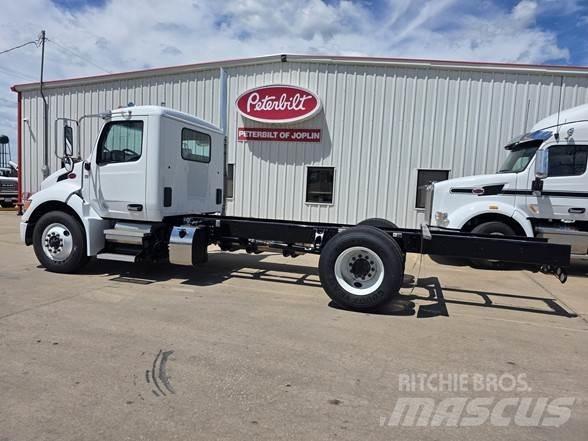 Peterbilt 536 شاحنات بمقصورة وهيكل